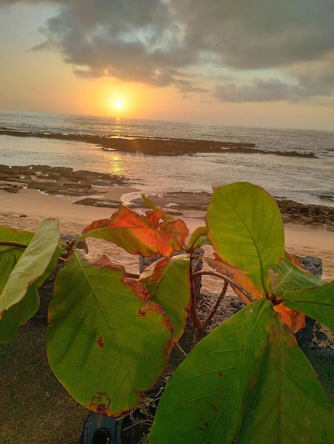 Pousada Tropicalia Tranquilidade A Beira Mar Santa Cruz Cabrália Buitenkant foto